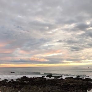 Meet your Posher, Shyla